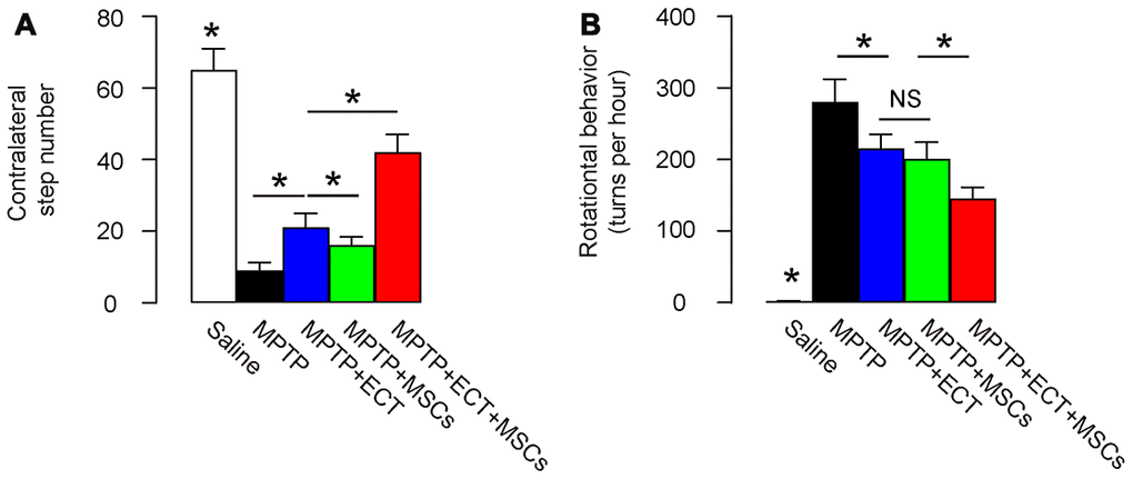 Combined ECT and MSCs synergistically alleviate PD-associated behavior disorder. (A, B) Two months after treatment, behavioral disorder in MPTP-mice was assessed with two tests, stepping test (A) and rotational behavioral test (B). *p