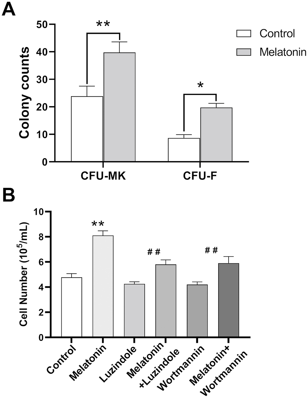 Effect of melatonin on CFU-MK, CFU-F and CHRF cells. Bone marrow cells were seeded with or without melatonin (200 nM) for nine days and identified by Giemsa staining. CHRF cells were treated with melatonin (200 nM), wortmannin (100 nM), melatonin+wortmannin, luzindole (1 μM) and melatonin+luzindole. A 30 min preincubation step with the PI3K inhibitor Wortmannin (100 nM) or a 60 min preincubation step with the MT2 receptor antagonist Luzindole (1 μM) was included before melatonin stimulation. (A) Melatonin promotes the formation of murine CFU-MK and CFU-F. (B) Melatonin has a promoting effect on the proliferation of CHRF cells, adding wortmannin and luzindole can inhibit this effect. Two-way ANOVA (with a Tukey multiple comparison test) was employed to test for significance. * p