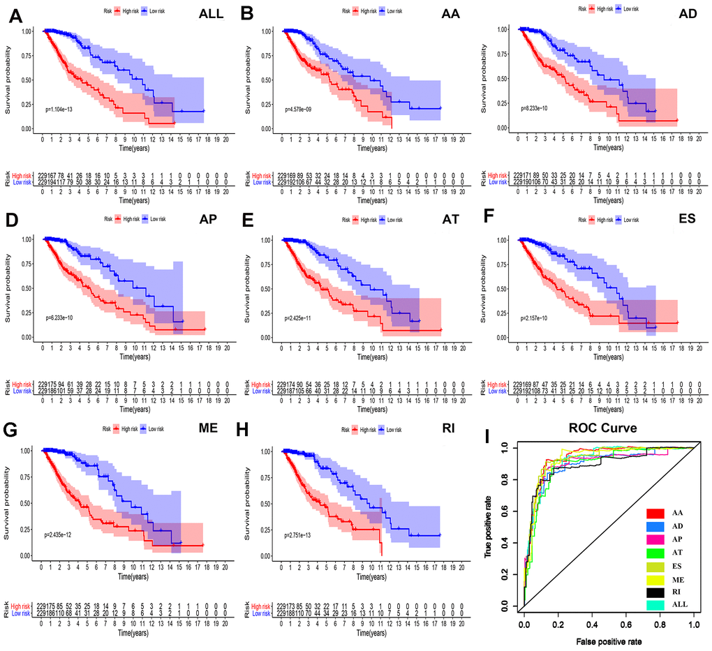 Survival analyses and ROC constructions of prognosis-related AS events. The risk score of each LGG patient was calculated using multivariate Cox regression analyses after LASSO regression analyses. The cut-off of low- and high-risk groups was decided by the risk score, and Kaplan-Meier survival analyses were presented in each group of (A) all types of AS events, (B) AA, (C) AD, (D) AP, (E) AT, (F) ES, (G) ME and (H) RI. (I) The final prognostic index ROC has an AUC of 0.924(0.891-0.934).