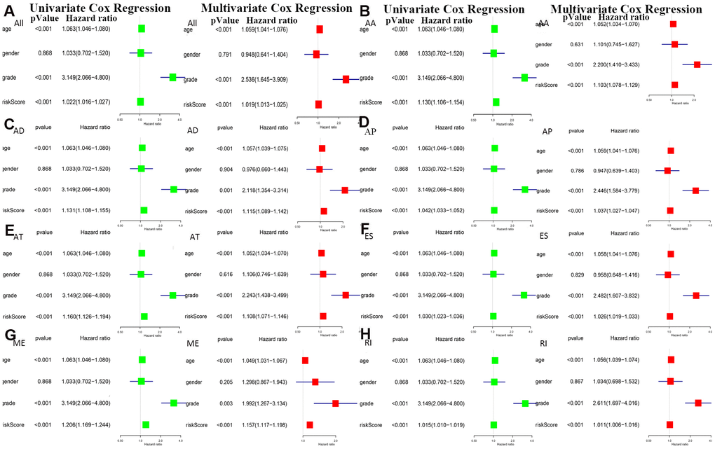 Univariate and multivariate Cox regression analyses of prognosis-related AS events in 8 groups were performed in forest plots of (A) all types of AS events, (B) AA, (C) AD, (D) AP, (E) AT, (F) ES, (G) ME and (H) RI (P 