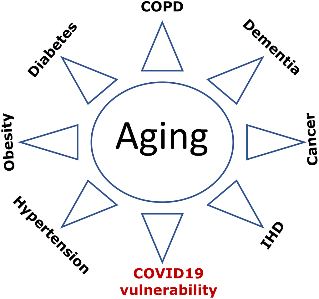 COVID-19 vulnerability as an age-related disease. Age-related diseases, including COVID-19 vulnerability, are manifestations of aging. Abbreviations: Ischemic heart disease (IHD); Chronic obstructive pulmonary disease (COPD).