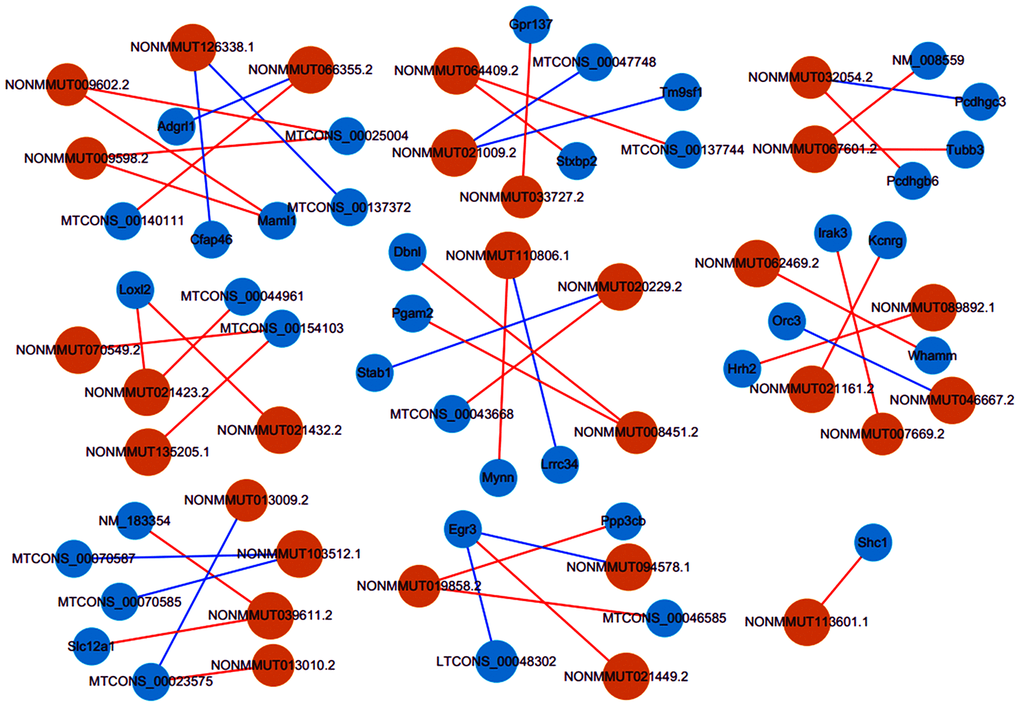 Co-expression networks of thirty lncRNAs with related mRNAs. Via rigorous screening progress (PCC > 0.90 or P 