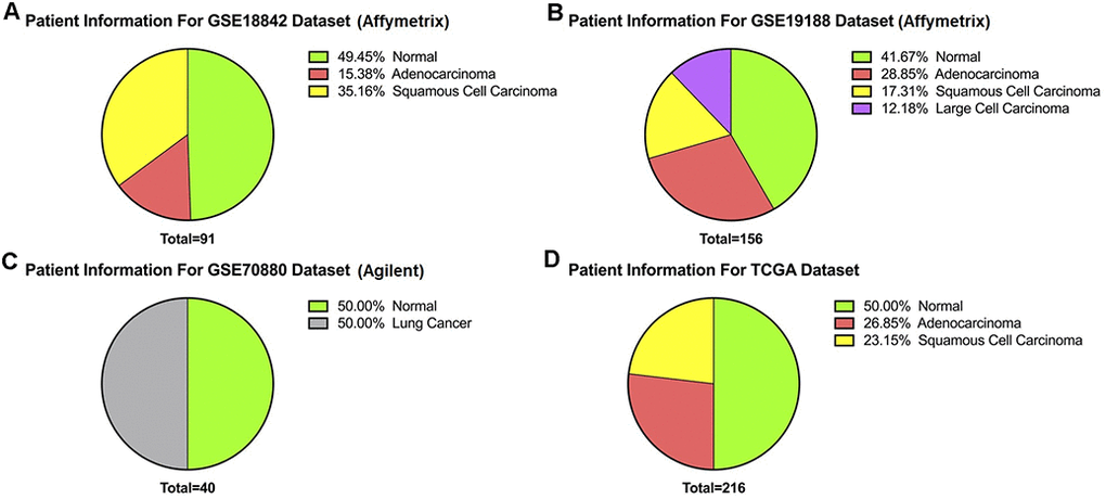 Patient information. (A) GSE19188 contains 156 samples comprising 65 normal and 91 tumors. (B) GSE18842 dataset has 91 samples of which 45 are normal and 46 are tumors. (C) Likewise, of 40 samples from GSE70880 20 were normal and 20 were tumor. (D) Of 216 samples from TCGA, 108 were normal and 108 were paired adjacent normal.