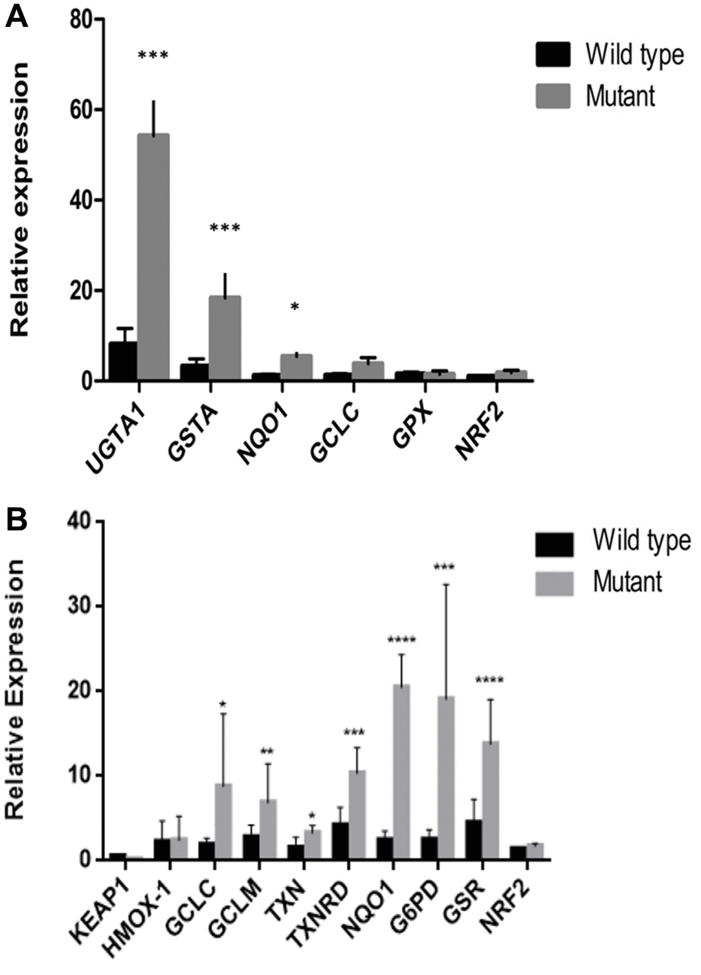 Downstream gene expression in samples and cell lines with KEAP1/NFE2L2 mutations. (A) There were significant differences in UGT1A1, GSTA and NQO1 expression between tumors with and without KEAP1 or NFE2L2 mutations. (B) There were significant differences in GCLC, GCLM, TXN, TXNRD, NQO1, G6PD, and GSR expression between cell lines with and without KEAP1 or NFE2L2 mutations. *P P P P 