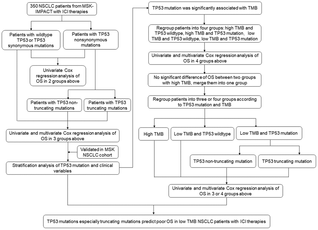 Flowchart of the study strategy.