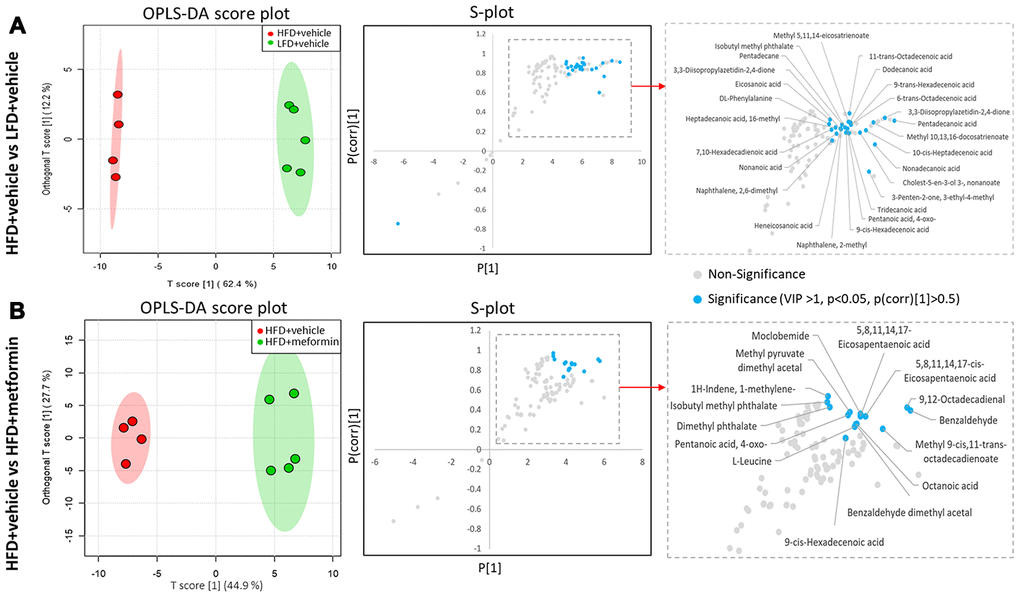 Identification of significant metabolites in the ovary. (A) OPLS-DA and S-plot were used to detect metabolites that discriminated between HFD+vehicle (red) and LFD+vehicle (green). (B) OPLS-DA and S-plot were used to detect metabolites that discriminated between HFD+vehicle (red) and HFD+metformin (green). In S-plot, the blue circles indicate significant metabolites with a VIP of > 1, p-value 0.5.