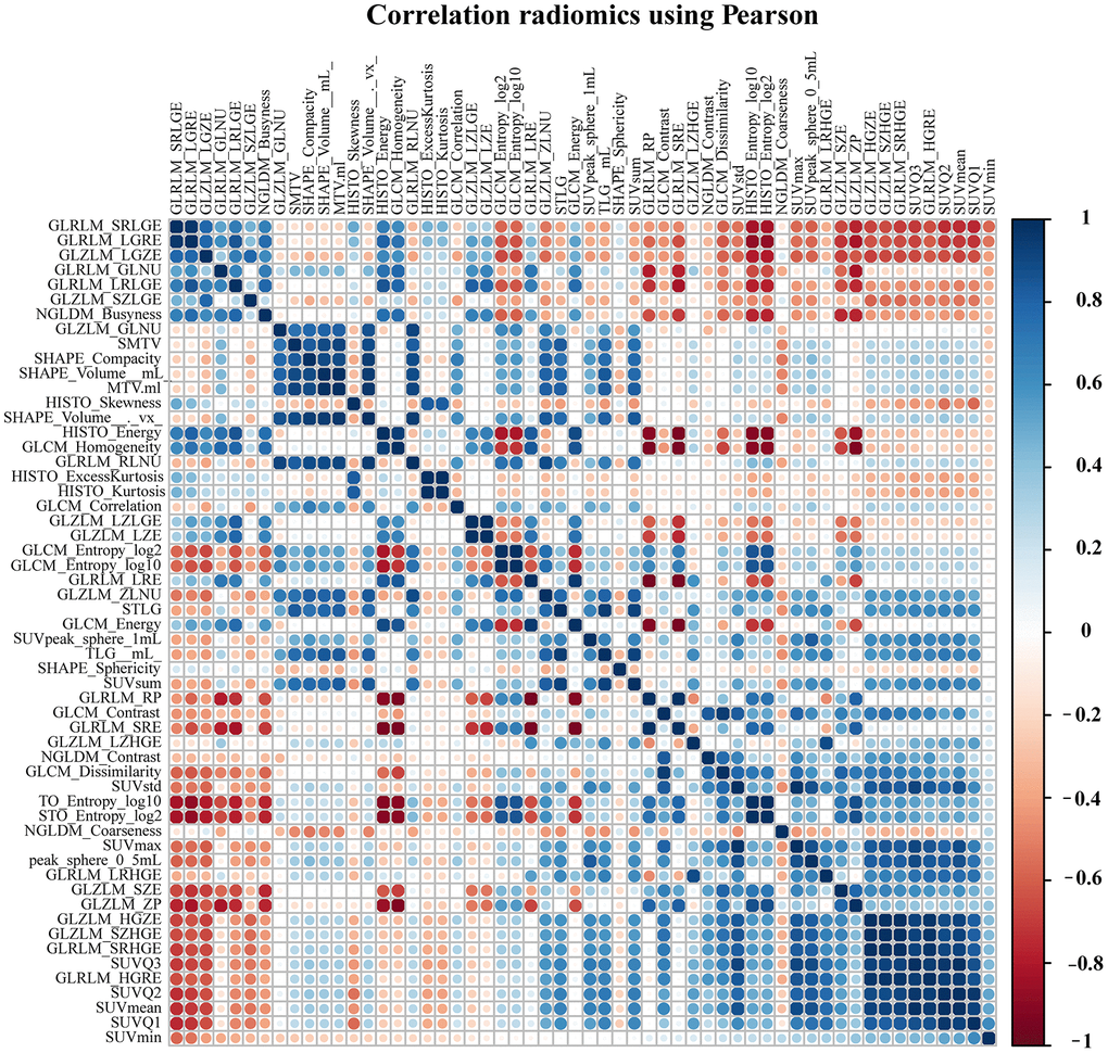 The correlation matrix between pre-processing radiomics features.