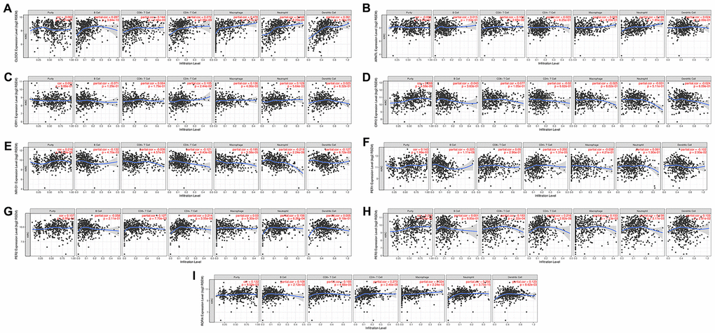 The correlation between circadian clock genes and the immune infiltration level in KIRC. KIRC, Clear cell renal cell carcinoma.