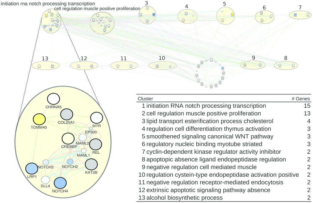 A healthspan pathway map for humans, based on Supplementary Tables 1–3, including the list of pathways/clusters with their labels as assigned by AutoAnnotate and their size (number of genes). The largest pathway is zoomed in to reveal details. The size of a gene node is proportional to its GeneMANIA score, which indicates the relevance of the gene with respect to the original list of genes to which another 20 genes are added by GeneMANIA, based on the network data. Genes upregulated by CR are shown in yellow, downregulated genes are shown in blue, and grey denotes genes for which no expression values are available in the caloric restriction dataset [37]. The color of an edge refers to the source of the edge in the underlying network, that is co-expression (pink), common pathway (green), physical interactions (red), shared protein domains (brown), co-localization (blue), predicted (orange), and genetic interaction (green). The thickness of an edge is proportional to its GeneMANIA “normalized max weight”, based on the network data. Genes from the GeneMANIA input list feature a thick circle, while genes added by GeneMANIA do not.