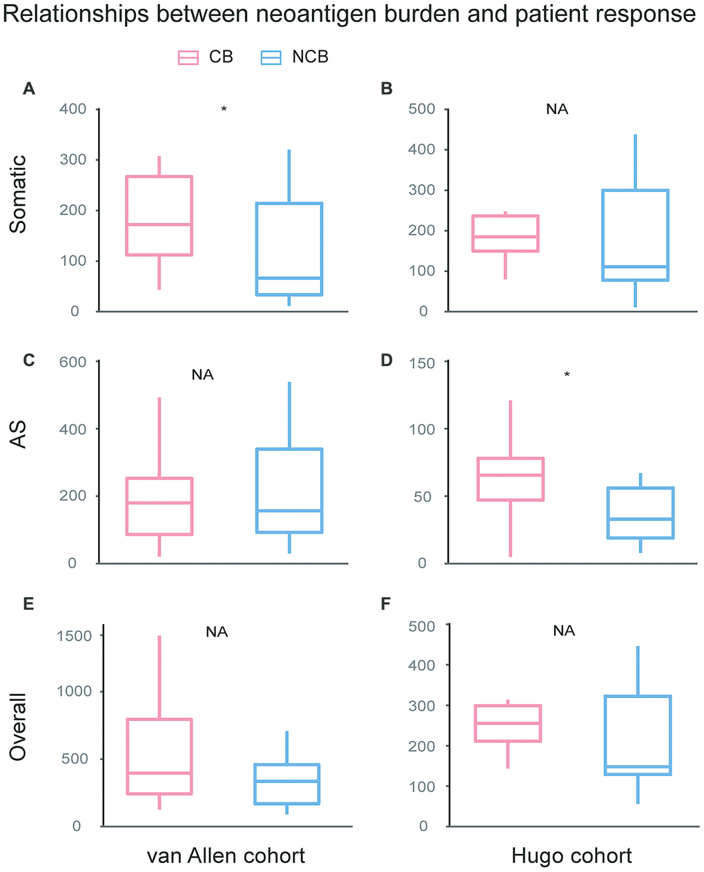 Relationships between neoantigen burden and patient response undergo immunotherapy treatment. For van Allen cohort, the somatic neoantigen burden was significant associated with patient response to immunotherapy treatment (Wilcoxon test, P=0.031, A), while AS neoantigen burden was not associated with response (Wilcoxon test, P=0.93, C). For Hugo cohort, the somatic neoantigen burden was not associated with response (Wilcoxon test, P=0.37, B), while AS neoantigen burden was significant associated with response (Wilcox test, P=0.029, D). Overall neoantigen burden showed no association with response neither in van Allen cohort (Wilcox test, P=0.24, E) nor in Hugo cohort (Wilcox test, P=0.2, F). CB: Clinical Benefit, NCB: No Clinical Benefit.