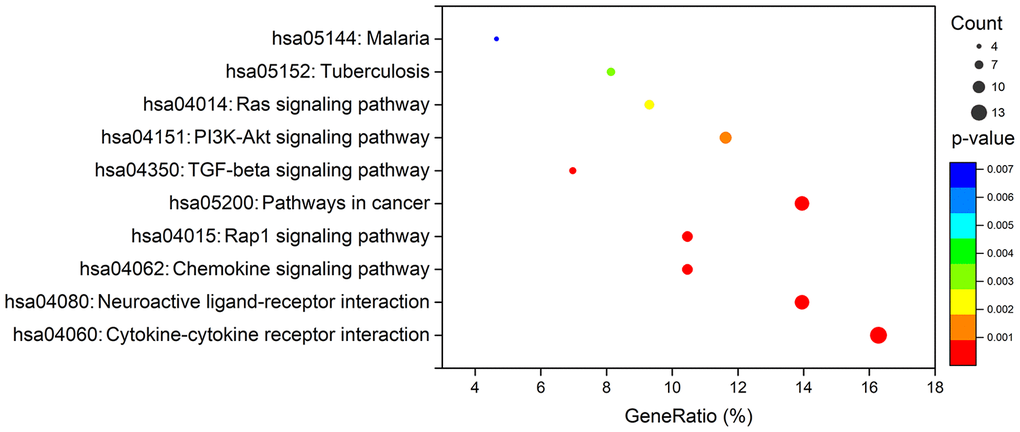 KEGG analysis of survival-associated IRGs.