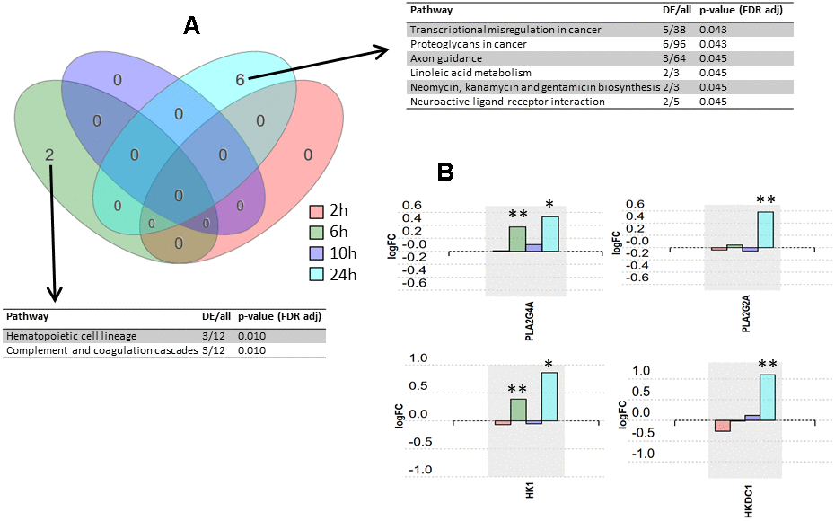 Pathway analysis results. (A) Venn diagram representing the intersections of pathway sets associated with the four post-infection time points. Pathways were considered significant according to a p-value calculated by iPathway Guide software using a hypergeometric distribution and adjusted using false discovery rate. DE, differentially expressed proteins. (B) Expression changes over four post-infection time points for proteins PLA2G4A, PLA2G2A, HK1, and HKDC1. * p-value 