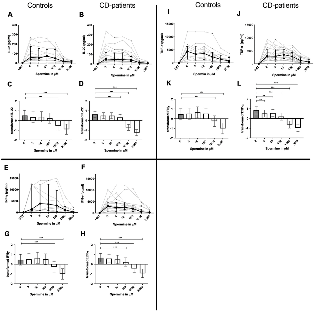 Cytokine data (IL-22, INF-γ, TNF-α) of pre-stimulated T-cell (24 hours) treated with and without Spermine (in pg/ml) for 48 hours in cognitive decline patients and controls. Cytokines – IL22, INF-γ, TNF-α – were measured by Legend-plex (Biolegend) in culture supernatants after 48 hours of Spermine treatment. T-cells were pre-stimulated by CD3/CD28 antibodies for 24 hours before polyamine usage. Spermine was used in the following concentrations: 5μM, 10μM, 100μM, 1000μM, 2000μM. Unstimulated cells (UST) were measured as control. The data sets were not Gaussian-distributed and therefore transformed by R studio orderNorm using the bestNormalize package and analyzed. Raw data (individual data, median + interquantile ranges) (A, B, I, J, E, F) and transformed data are given(mean with lower and upper confidence limits, C, D, K, L, G, H). ncontrol = 12; nCD-patient = 20 * p