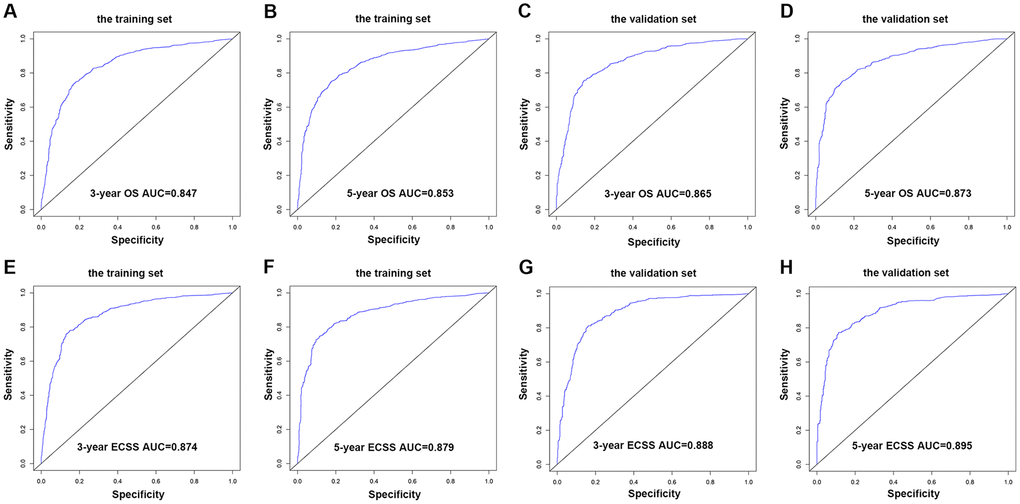 AUC value of the ROC predicting. (A) 3-year OS rates of the nomogram in the training set. (B) 5-year OS rates of the nomogram in the training set. (C) 3-year OS rates of the nomogram in the validation set. (D) 5-year OS rates of the nomogram in the validation set. (E) 3-year ECSS rates of the nomogram in the training set. (F) 5-year ECSS rates of the nomogram in the training set. (G) 3-year OS rates of the nomogram in the validation set. (H) 5-year OS rates of the nomogram in the validation set.