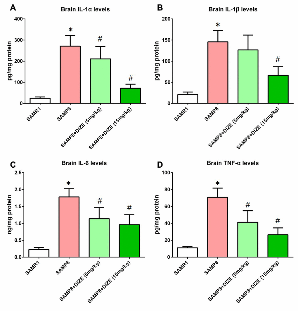 DIZE attenuated neuroinflammation in the brain of SAMP8 mice. (A) The protein levels of IL-1α in the brain were investigated by ELISA. (B) The protein levels of IL-1β in the brain were investigated by ELISA. (C) The protein levels of IL-6 in the brain were investigated by ELISA. (D) The protein levels of TNF-α in the brain were investigated by ELISA. All data were analyzed by one-way ANOVA followed by Tukey’s post hoc test. Columns represent mean ± SD (n=8 per group). *PP