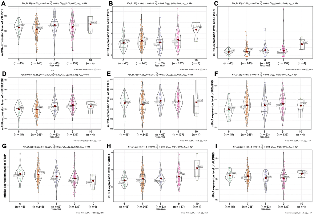 Association between mRNA expression of m6A methylation regulators and Gleason Score of prostate cancer.(A) YTHDC1; (B) IGF2BP2; (C) IGF2BP3; (D) HNRNPA2B1; (E) METTL3; (F) RBM15B; (G) WTAP; (H) VIRMA; (I) ALKBH5.