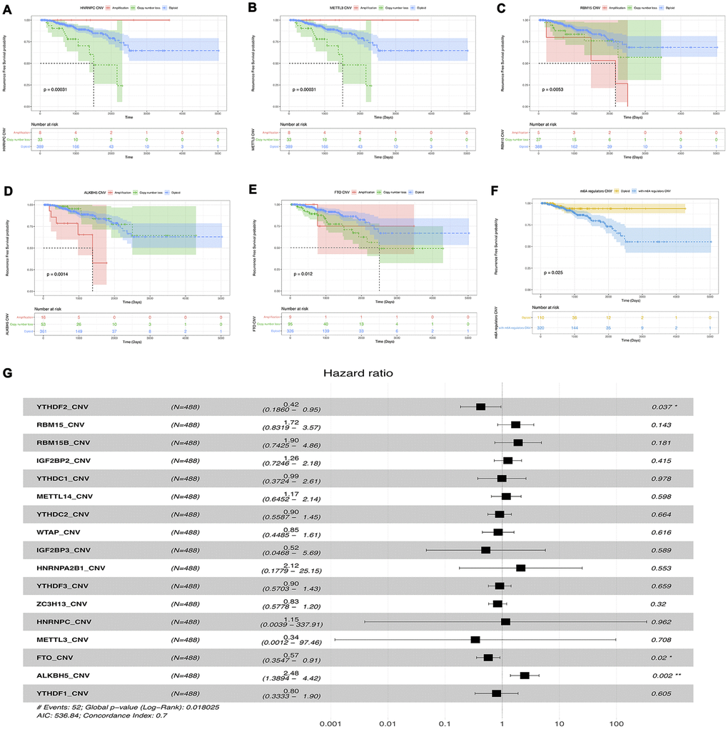 Survival analysis of CNVs of m6a methylation regulators. (A–F) Univariable cox regression analysis of there m6a methylation regulators with the significant p-value. (G) Multivariable cox regression analysis of all m6a methylation regulators.