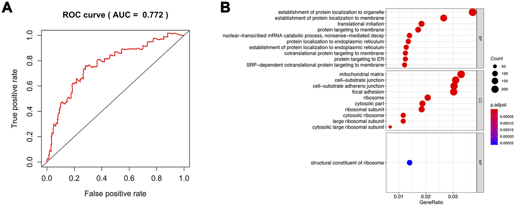 Analysis of the pathway regulated by m6A methylation. (A) ROC of all methylation regulators model. (B) GO analysis of differentiated genes between high risk of m6A methylation group and its low-risk group. ROC: Receiver Operating Characteristic; GO: gene ontology.