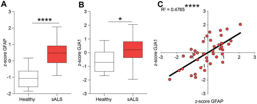 Expression levels of GFAP and GJA1 encoding for Cx43 in human sALS biopsies. (A, B) mRNA expression levels of GFAP (A) and GJA1 (B) in the central nervous system of sALS patients versus healthy control levels. Data are expressed as z-score intensity expression levels and presented via standard Box and whiskers plot. ****p-value versus healthy control group. (C) Linear regression analysis of GFAP and GJA1 z-scores in sALS group.