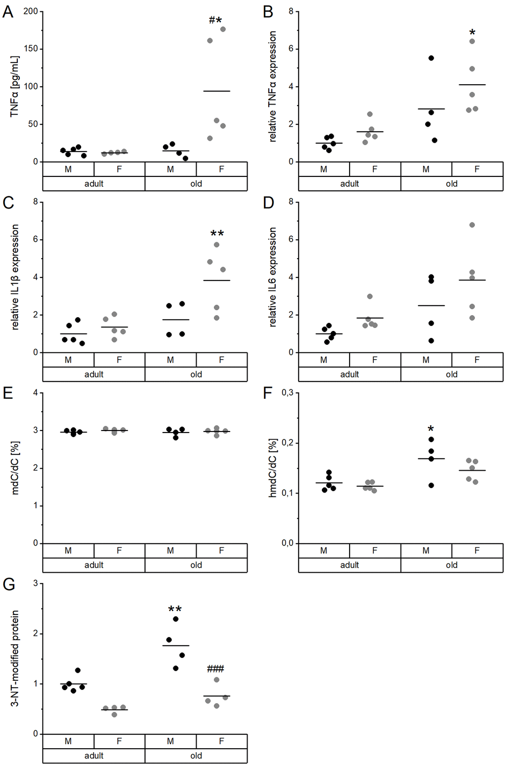 Proinflammatory cytokines and DNA and protein modifications in relation to age and sex. Serum (A) and liver extracts (B–G) of adult (24 weeks) and old (109-114 weeks) male and female mice (n = 4-5) fed with a chow diet ad libitum were subjected to enzyme-linked immunosorbent assay (A), qRT-PCR analysis (B–D), tandem mass spectrometry (E, F), and immunoblotting (G). This way, proinflammatory cytokines (A–D), global DNA methylation (mdC/dC; E), and hydroxymethylation (hmdC/dC; F), as well as 3-nitrotyrosine (3-NT, G) protein modifications were determined. Hepatic transcription levels (B–D) were normalized by a composite factor based on the house-keeping genes Hprt and Rpl13a, whereas 3-NT-modified proteins were normalized to GAPDH (G). Except for (E) and (F), where data is given in %, data is presented as fold change compared to male adults (A–D, G). Statistical testing based on Two-Way ANOVA and post hoc analysis using Bonferroni’s test with * p # p ### p 