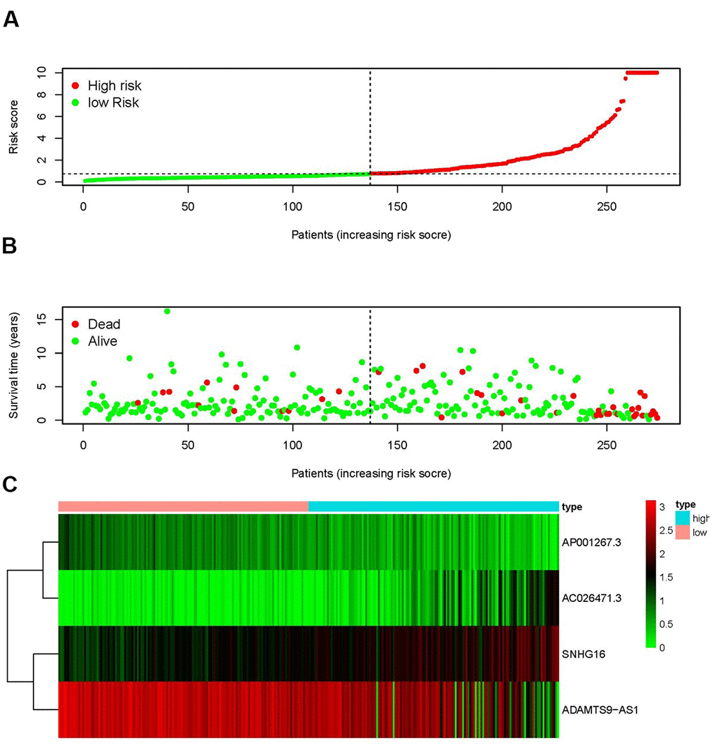 IRRS was established according to sIRlncRs. Distribution of risk score in the high-risk group and the low-risk group (A). Survival status between the high-risk group and the low-risk group (B). The heatmap of expression profile of contained sIRlncRs (C). In the heatmap, red parts represent up-regulation, green parts represent down-regulation, and black parts represent sIRlncRs without differential expression.