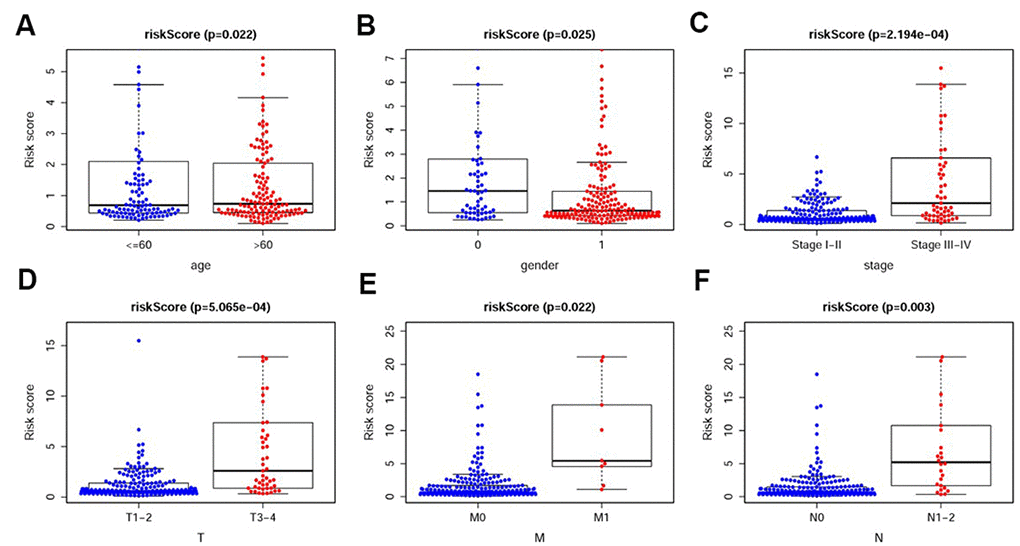 The relationships between the IRRS and different clinicopathological features. Relationships between the IRRS and age (A), gender (B), tumor stage (C), T-stage (D), M-stage (E) and N-stage (F). (0=Female patients; 1=Male patients).