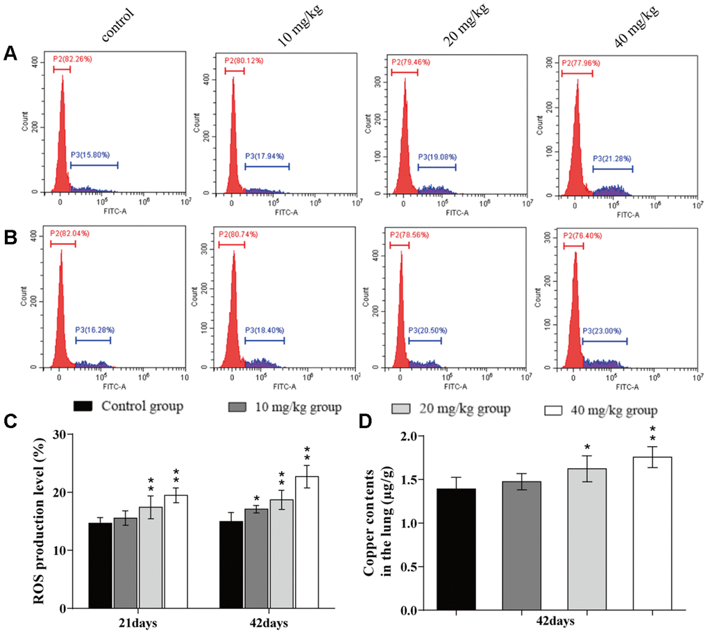 Changes of ROS production levels and Cu contents in the lung. (A) ROS production levels in the lung by flow cytometry at 21 days of the experiment. (B) ROS production levels in the lung by flow cytometry at 42 days. (C) ROS production levels in the lung. (D) Cu contents in the lung at 42 days of the experiment. Data are presented with the mean± standard deviation (n=8). *p 