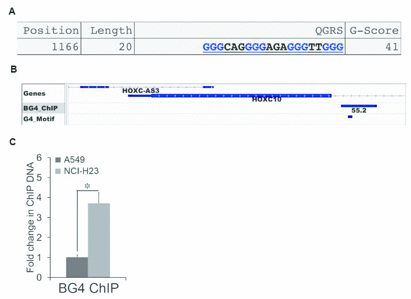 class="figure-viewer-img"