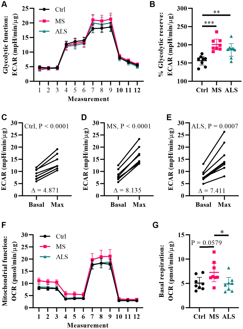 Multiple sclerosis skin fibroblasts have altered bioenergetics. (A) Glycolytic function of MS, ALS, and control skin fibroblasts were assayed using the Seahorse Glycolytic Stress Test. The cells were incubated in glucose-free media containing 2 mM glutamine for one hour prior to measuring glycolytic function. Sequential addition of 5.5 mM glucose, 1.5 μM oligomycin, and 50 mM 2-deoxy-D-glucose were added to the cells while the ECAR was monitored. (B) The percent glycolytic reserve (glycolytic capacity/basal glycolysis) increase after treatment with oligomycin. (C–E) Paired analysis of skin fibroblasts treated with oligomycin reflects individual changes from basal glycolysis to maximum glycolytic capacity. The average change (Δ) is indicated. (F) Mitochondrial function of MS, ALS, and control skin fibroblasts were assayed using the Seahorse Mito Stress Test. All cells were incubated in assay medium containing 5.5 mM glucose and 2 mM glutamine for one hour prior to performing the assay. The OCR was monitored during sequential injection of 1.5 μM oligomycin, 1 μM FCCP, and 1 μM rotenone plus 1μM antimycin A. (G) The average basal respiration detected in skin fibroblasts. (A and F) Each dot represents the average rates measured ± SEM from all eight unique cell lines within each indicated group. (B and G) Each dot represents a unique patient-derived skin fibroblast (n = 8 per group). The graphs show the average with the 95% confidence interval. Statistical significance was determined using one-way ANOVA post hoc Tukey test. *P C–E) Significance was determined using paired t test analysis (two tailed) using averaged data. All averages were determined from two independent experiments each containing triplicates using all three measurements per injection group. All data was normalized to total protein content (μg).