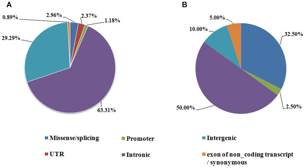 Genomic region annotation distribution of the AF susceptibility SNPs. (A) Index SNPs associated with AF identified in GWAS, (B) AF susceptibility SNPs identified by candidate gene based analysis.