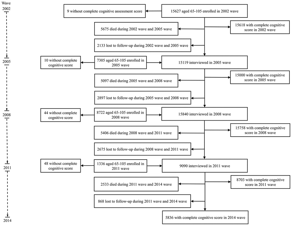 Flow diagram of participants inclusion and follow-up.