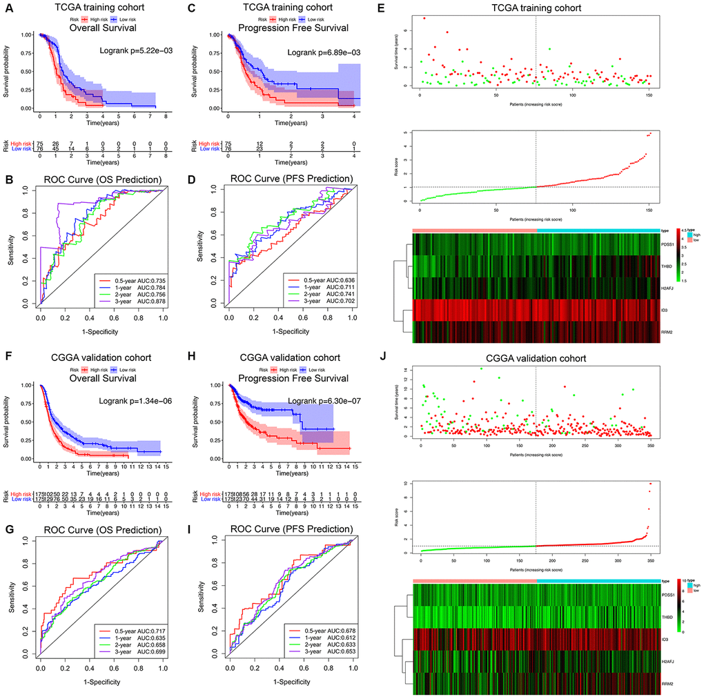 Survival analysis, prognostic performance and risk score analysis of the HRG-based risk score model in GBM patients. K-M survival analysis was performed to estimate the overall survival (OS) of high-risk and low-risk patients in the TCGA training cohort (A) and CGGA validation cohort (F). Additionally, K-M survival analysis was also performed to estimate the progression-free survival (PFS) of high-risk and low-risk patients in the TCGA (C) and CGGA cohorts (H). The high-risk groups had significantly poorer OS and PFS rates than the low-risk groups. The prognostic performance of the hypoxia signature demonstrated by the time-dependent ROC curve for predicting the 0.5-, 1-, 2-, and 3-year OS rates in the TCGA (B) and CGGA cohorts (G). The prognostic performance of the hypoxia signature demonstrated by the time-dependent ROC curve for predicting the 0.5-, 1-, 2-, and 3-year PFS rates in the TCGA (D) and CGGA cohorts (I). Risk score analysis of the hypoxia signature in the TCGA (E) and CGGA cohorts (J). Upper panel (I and J): Patient survival status and time distributed by risk score. Middle panel (I and J): Risk score curves of the hypoxia signature. Bottom panel (I and J): Heatmaps of the expression levels of the 5 HRGs in the GBM samples. The colors from green to red indicate the expression level from low to high.