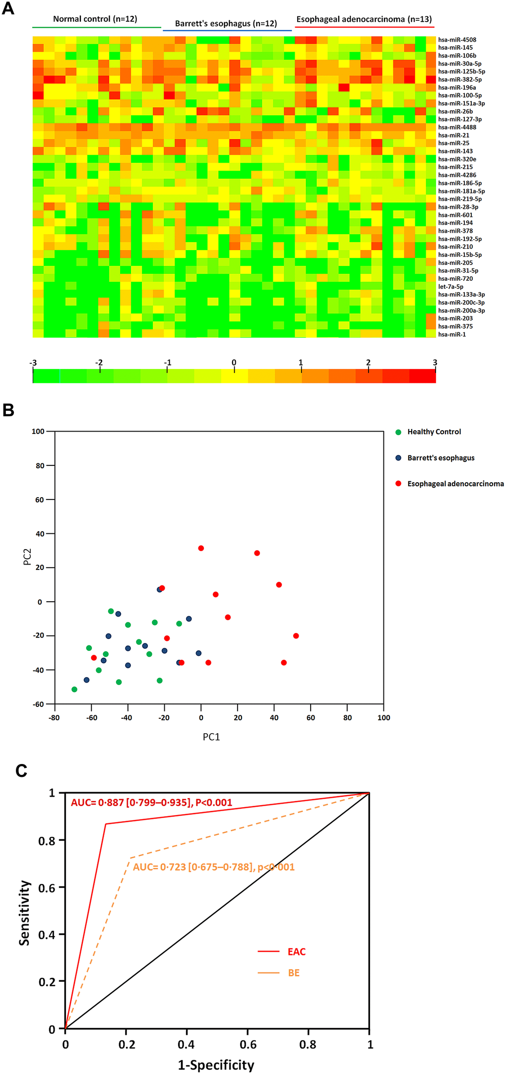 (A) Heatmap of differential sera miRNA profiles during the sequential progression of Barrett’s esophagus to esophageal adenocarcinoma. Heatmap representation of the mean fold change in differential miRNA signature. Two-dimensional grid matrix displaying 38 serum miRNAs was obtained by the functional heat-map in R. Columns refer to time course comparison: 12 healthy controls, 12 BE and 13 EAC. Rows stand for the 38 differential miRNAs. Each entry of the grid refers to relative fold (log2) of a given miRNA. The color of each entry is determined by the value of that fold difference, ranging from green (negative values) to red (positive values). (B) Principal component analysis. The plots for disease phenotypes (12 healthy controls, 12 BE and 13 EAC) were performed as principal component analysis among all samples based on miRNA profiles. (C) The performance of sera exosomal microRNA classifier to detect the risk of BE and EAC. ROC curves from 12 healthy controls, 12 BE and 13 EAC. Performance shown for distinguishing individuals with BE or EAC from healthy controls.