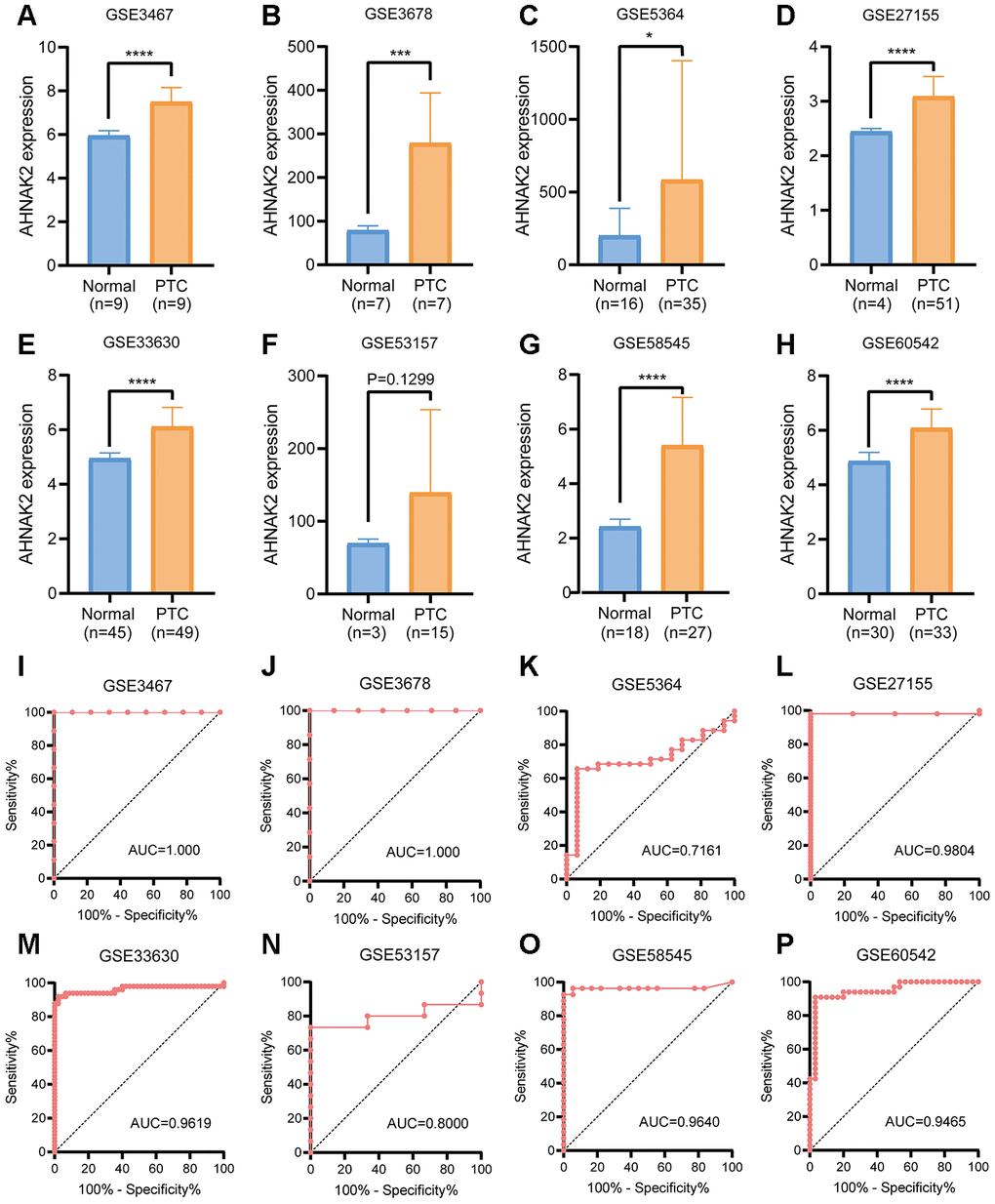 GEO verification of the diagnostic value of AHNAK2 in PTC. (A–H) mRNA expression levels of AHNAK2 in 8 GEO verification cohorts (GSE3467, GSE3678, GSE5364, GSE27155, GSE33630, GSE58545, GSE53157, and GSE60542). (I–P) ROC curves were generated to verify the diagnostic performance of AHNAK2 expression in the verification cohorts.