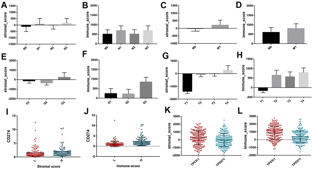 The different distribution of stromal scores and immune scores in different clinicopathological features, including stage N (A, B) stage M (C, D) grade (E, F) and stage T (G, H). The different expression of CD274 between high and low groups based on immune scores and stromal scores (I, J). The different distribution of stromal scores and immune scores between different TP53 mutation and wildtype (K, L).