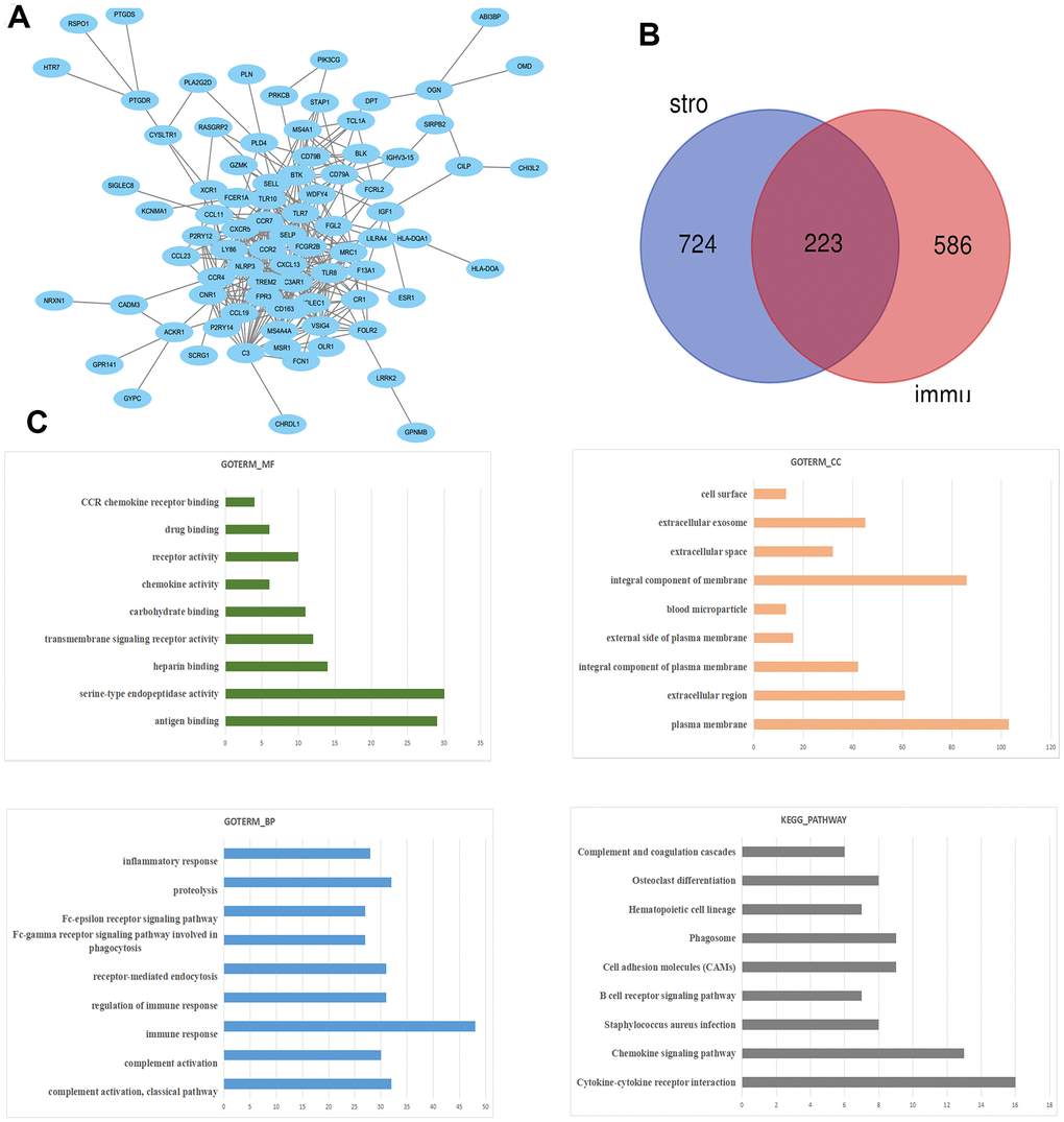 The PPI network of DEGs was constructed using Cytoscape. (A) Venn diagram was generated on the stromal scores and immunes scores of DEGs via Draw Venn Diagram (B). The biological process analysis of hub genes was constructed using BiNGO. The color depth of nodes refers to the corrected P-value of ontologies. The size of nodes refers to the numbers of genes that are involved in the ontologies. PC).