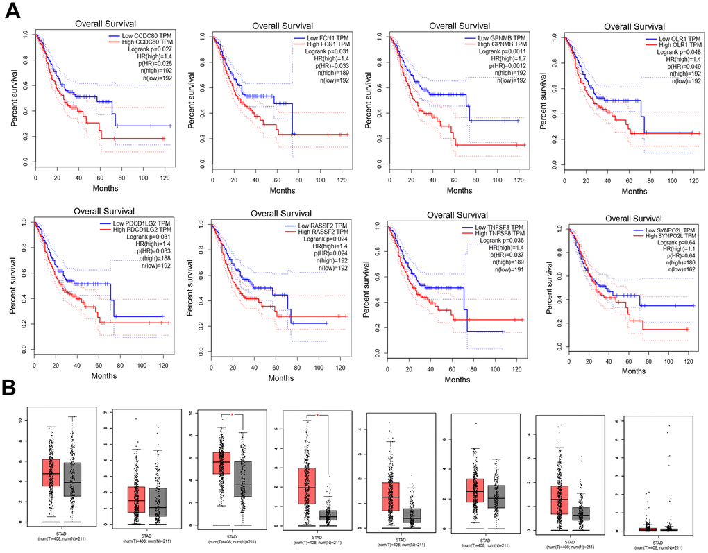 Kaplan-Meier plots the 8 hub genes by R v3.5.1 from TCGA database. (A) The different expression levels of 8 hub genes expression between normal and tumor from TCGA (B).