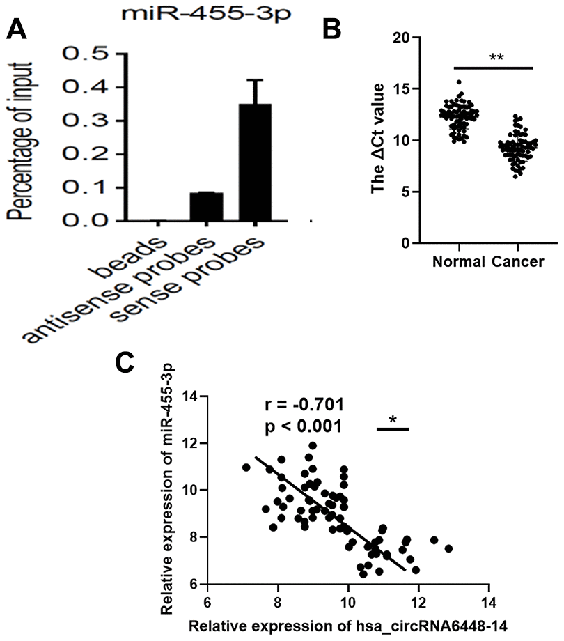 miR-455-3p in ESCC tissues. (A) RNA pull-down array to detect the enrichment of hsa