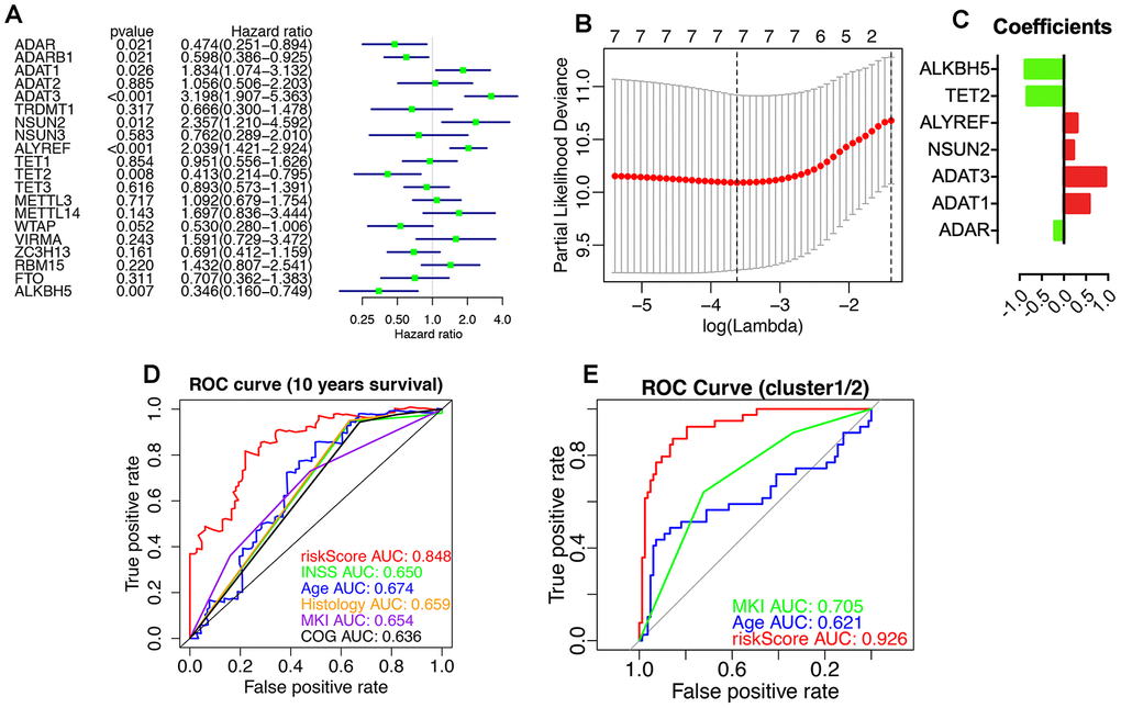 Prognostic RNA modification regulators (RNA-MRs) and their prognostic values. Prognostic RNA-MRs had a PA) and LASSO analysis (B, C). The riskScore calculated using prognostic RNA-MRs generated a convinced ROC curve (D, E).