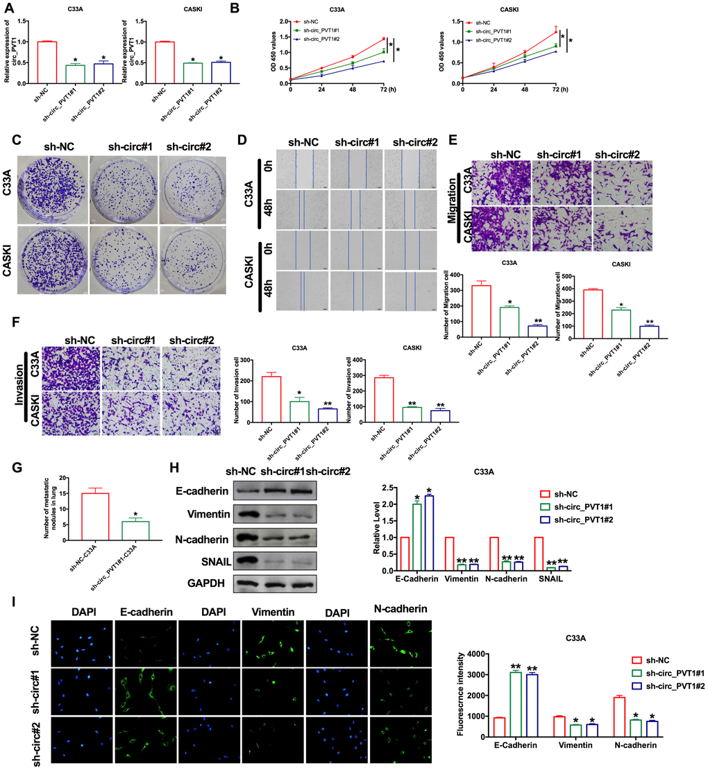 Downregulation of circ