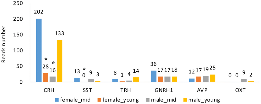 Hormone gene expression of the hypothalamus of rhesus macaque in each group. CRH, corticotropin releasing hormone; SST, somatostatin; TRH, thyrotropin-releasing hormone; GNRH1, gonadotropin-releasing hormone 1; AVP, arginine vasopressin; OXT, oxytocin. *, compared with female