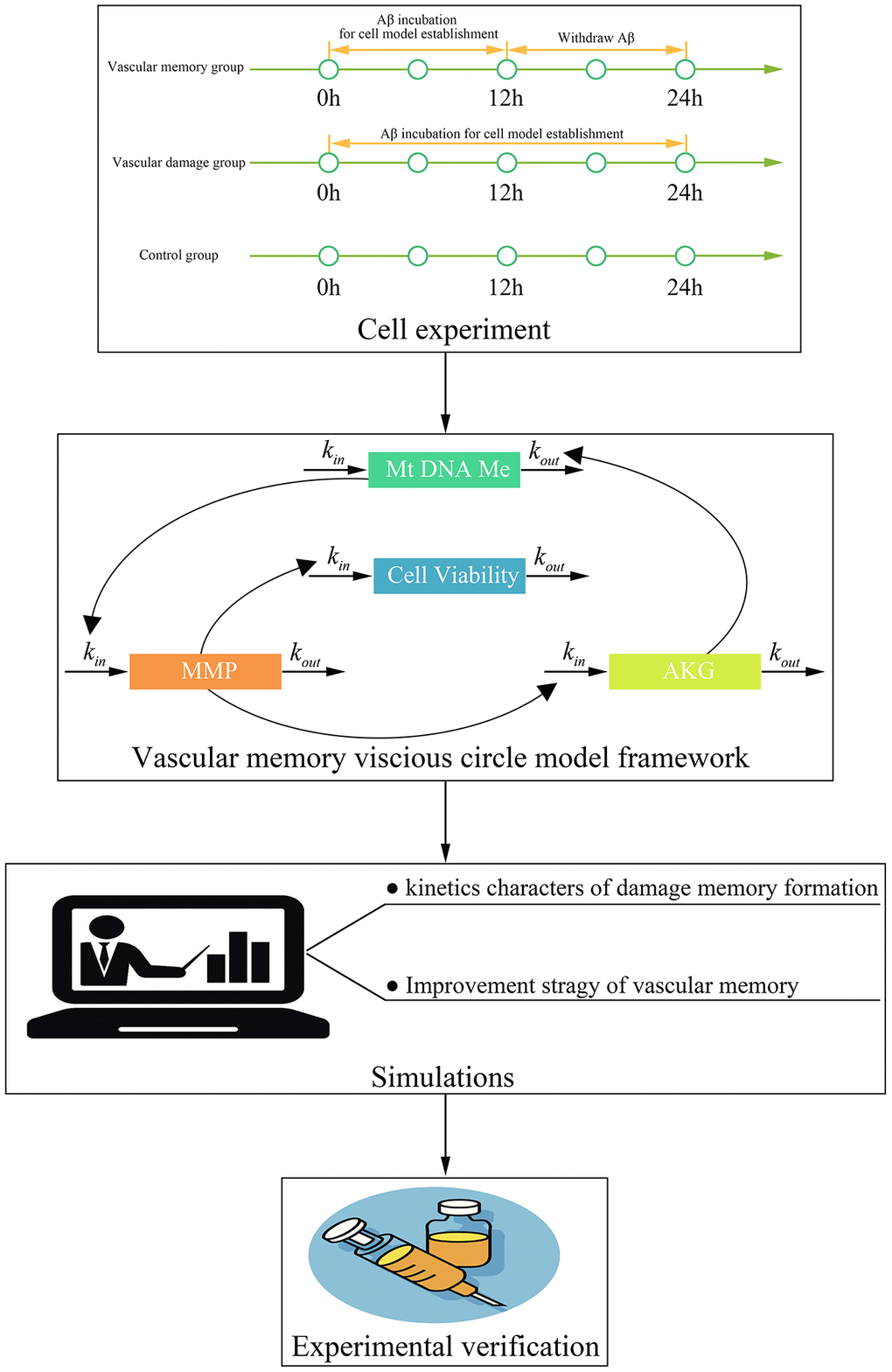 The framework of this study.