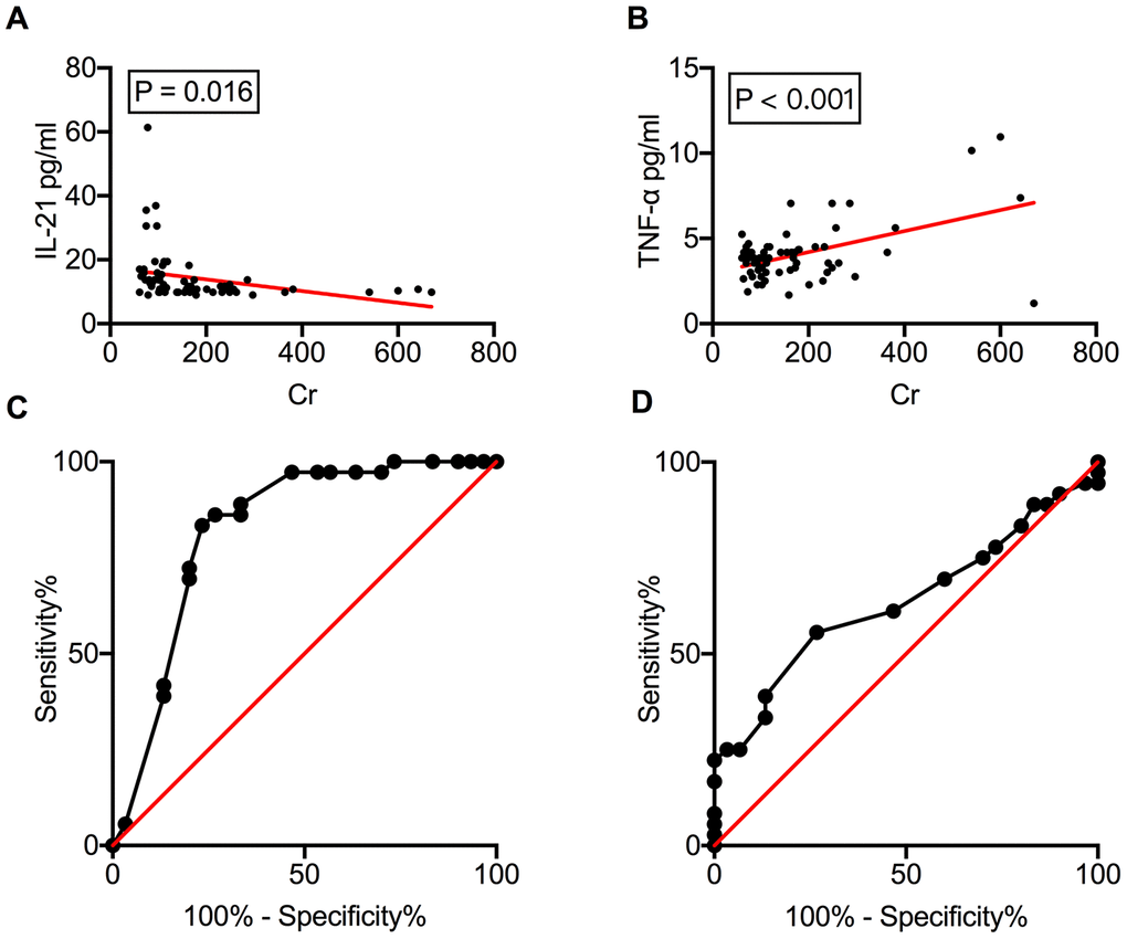 Serum IL-21 levels correlate with allograft function. Correlation of serum IL-21 and TNF-α levels with serum Cr levels (A, B). The ROC curves of IL-21 and TNF-α to investigate their ability to distinguish between rejection and NR recipients (C, D). Cr, creatinine; IL, interleukin; NR, non-rejection; ROC, receiver operating characteristic; TNF, tumor necrosis factor.