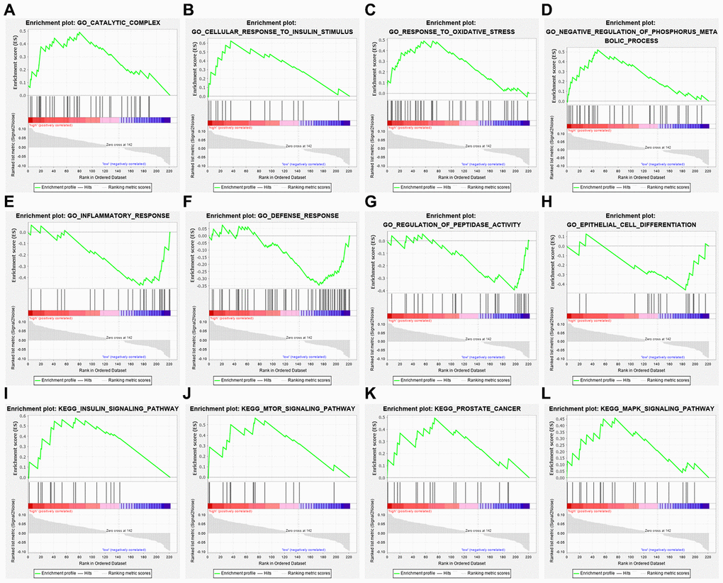 Gene set enrichment analysis of genes in high-risk and low-risk patients with THCA. (A–D) GO enrichment analysis results in the high-risk group. (E–H) GO enrichment analysis results in the low-risk group. (I–L) KEGG enrichment analysis results in the high-risk group.