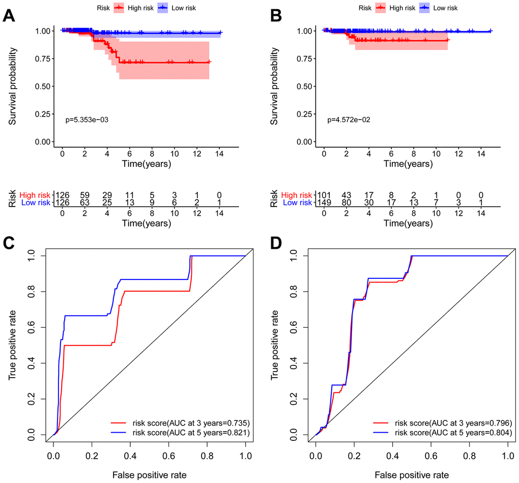 Kaplan-Meier and ROC analyses in the training and testing groups. Kaplan-Meier plot of the high-risk (red) and low-risk (blue) THCA patients in the training group (A) and testing group (B). The 3-year (red) and 5-year (blue) ROC curves of THCA patients in the training group (C) and testing group (D).