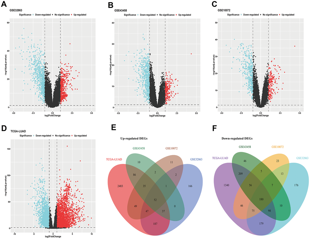 DEGs of LUAD. (A–C) DEGs acquired from GEO microarrays (GSE32863, GSE43458, GSE10072); (D) DEGs obtained from TCGA LUAD RNA-sequencing; (E) intersection of up-regulated DEGs; (F) intersection of down-regulated DEGs. DEGs, differentially expressed genes; GEO, Gene Expression Omnibus; TCGA, The Cancer Genome Atlas; LUAD, lung adenocarcinoma.