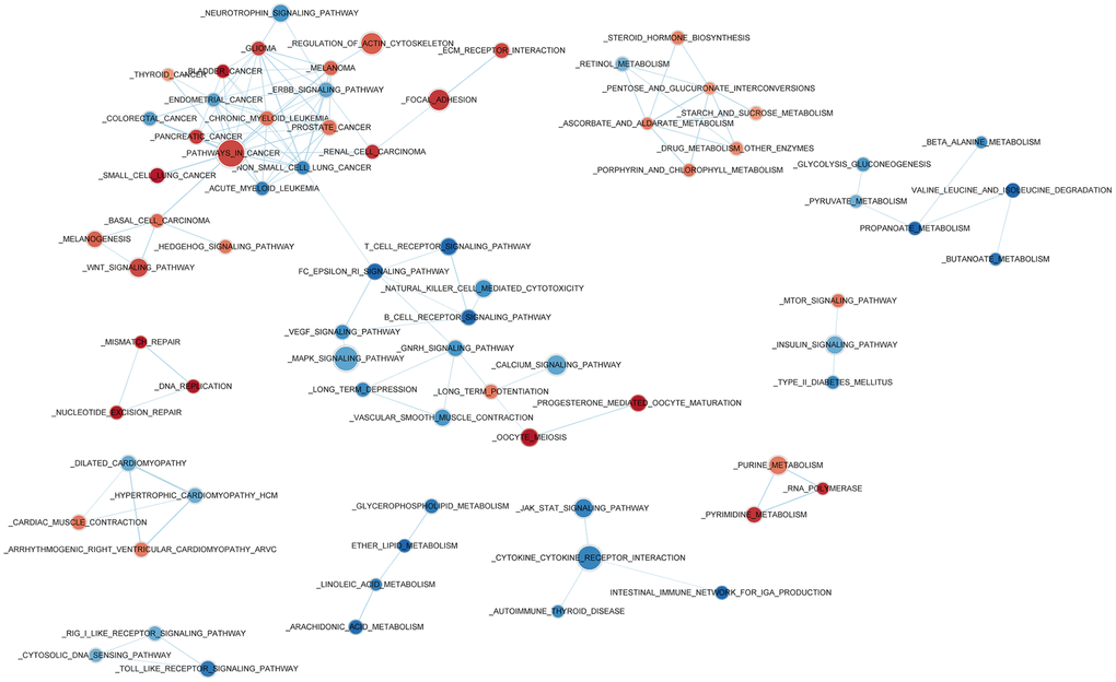 Enriched biological pathways associated with the risk score.