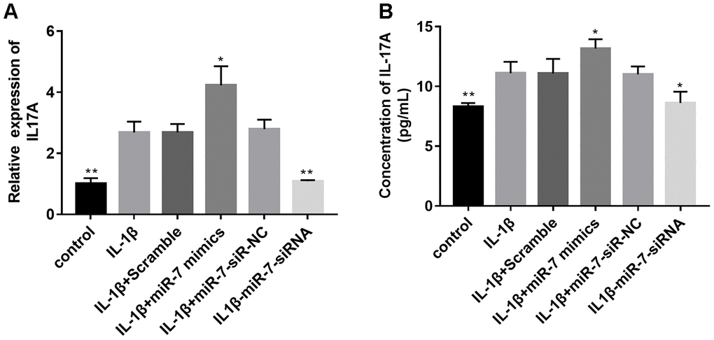 Effects of miR-7 related transfections on IL-17A levels determined by qRT-PCR (A) and ELISA (B). Data represent the mean ± SD (n = 3), * p p 