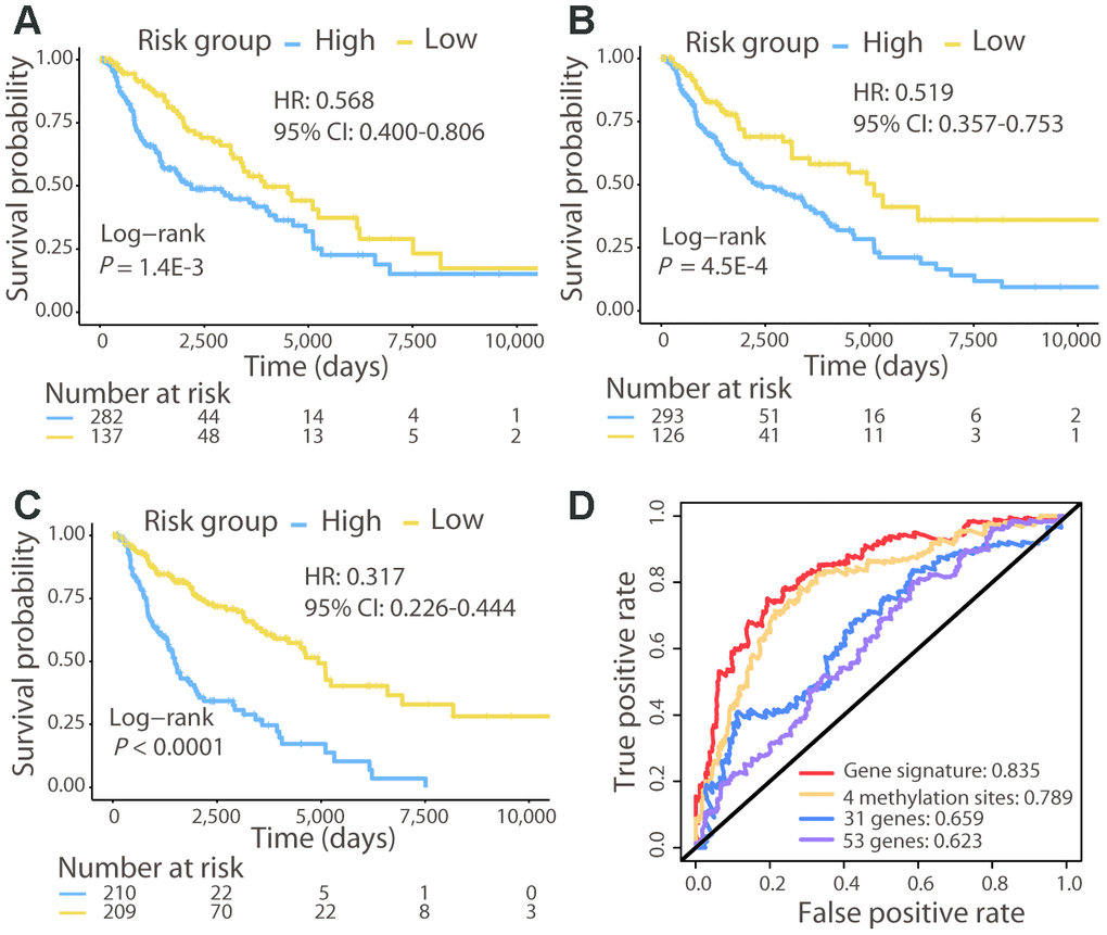 Comparison of the 21-gene signature with known biomarkers in predicting the OS in the TCGA cohort. Kaplan–Meier analysis was performed for patients classified by the 31-gene (A), 53-gene (B), and methylation (C) signatures. (D) ROC curves of the three known signatures and the 21-gene signature are shown. The AUC values of each signature demonstrate their ability to predict the patient OS.