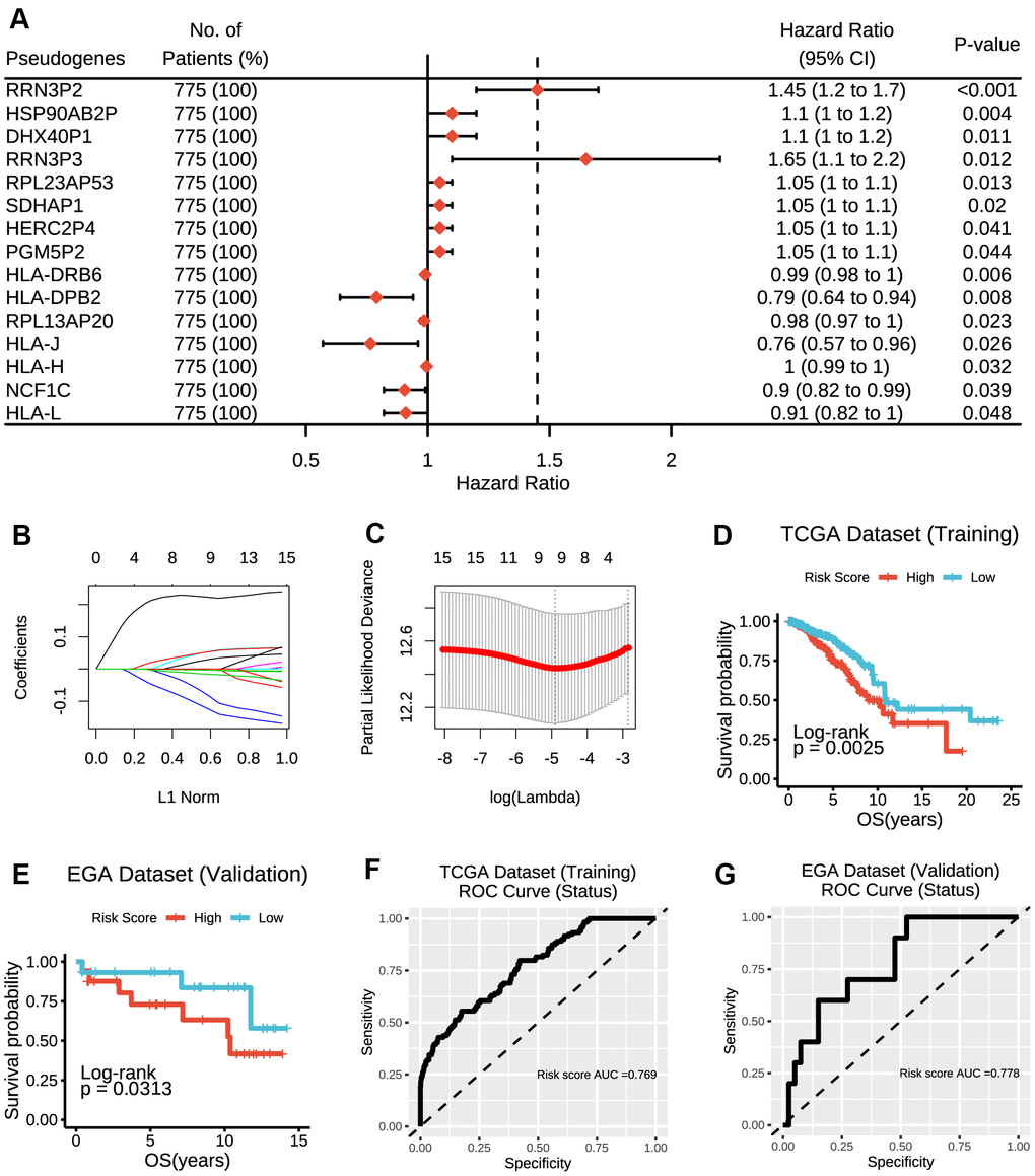 Construction of the risk score model based on prognostic pseudogenes. (A) The hazard ratios (HR), 95% confidence intervals (CI) calculated by univariate Cox proportional hazard regression of 15 prognostic pseudogenes using TCGA data. (B) LASSO coefficient profiles of 15 prognostic pseudogenes. (C) Ten-time cross-validation for tuning parameter selection in the LASSO model of 15 prognostic pseudogenes. (D) The breast cancer patients from TCGA dataset in high-risk group displayed significantly shorter overall survival than those in low-risk group (p = 0.0025). (E) The breast cancer patients from EGA dataset in high-risk group displayed significantly shorter overall survival than those in low-risk group (p = 0.0313). (F) The ROC curve and AUC for the risk score model in TCGA dataset. (G) The ROC curve and AUC for the risk score model in EGA dataset.